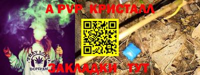 скорость Пугачёв