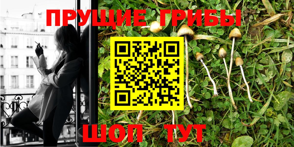 Псилоцибиновые грибы Psilocybine cubensis  Вход с VPN  Скопин 
