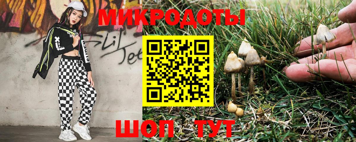 Псилоцибиновые грибы мухоморы Скопин